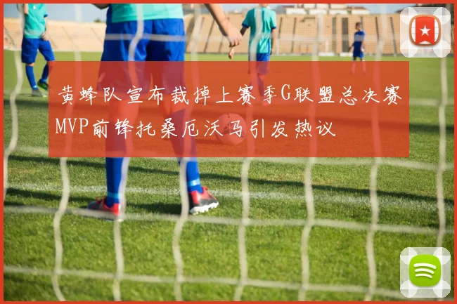 黄蜂队宣布裁掉上赛季G联盟总决赛MVP前锋托桑厄沃马引发热议