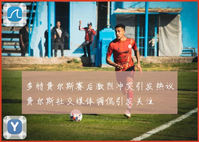 多特费尔斯赛后激烈冲突引发热议费尔斯社交媒体调侃引发关注